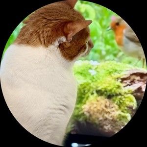 Meet your Posher, Amulya